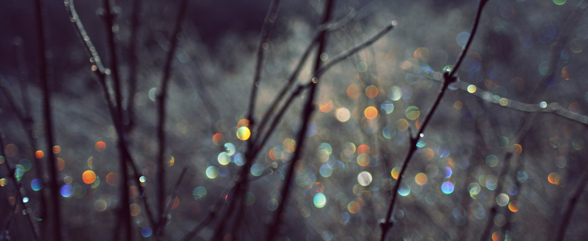 photodune-714913-winter-scene-with-spectrum-light-bokeh-in-grass-l